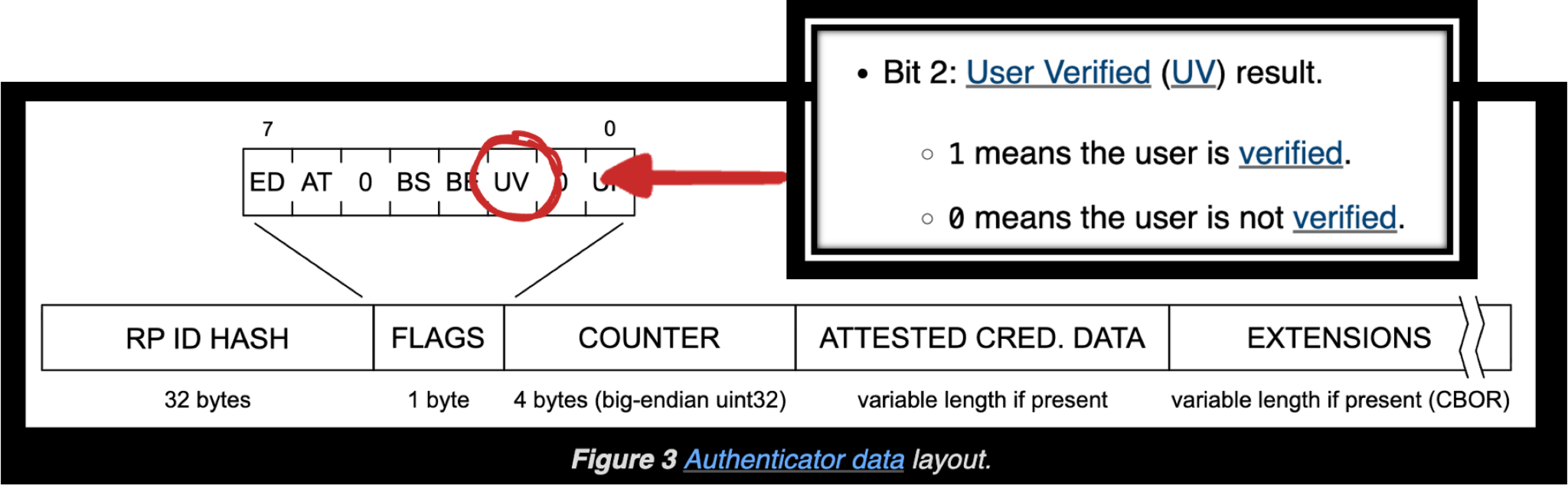 A diagram illustrating the structure of data fields, including RP ID Hash (32 bytes), Flags (1 byte), Counter (4 bytes, big-endian unit32), Attested Credential Data (variable length if present), and Extensions (variable length if present, CBOR). A red arrow highlights "Bit 2: User Verified (UV) result" in the Flags section, clarifying that "1 means the user is verified" and "0 means the user is not verified."
