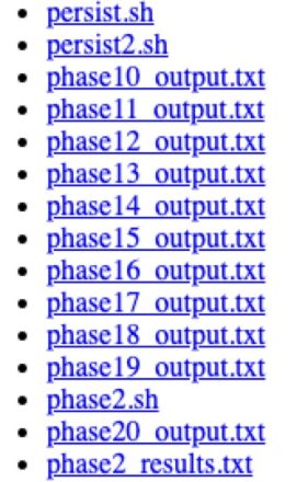 A screenshot of a list of file names displayed in blue text, each preceded by a bullet point. The files include scripts with ".sh" extensions such. There are also text files with ".txt" extensions, named sequentially.