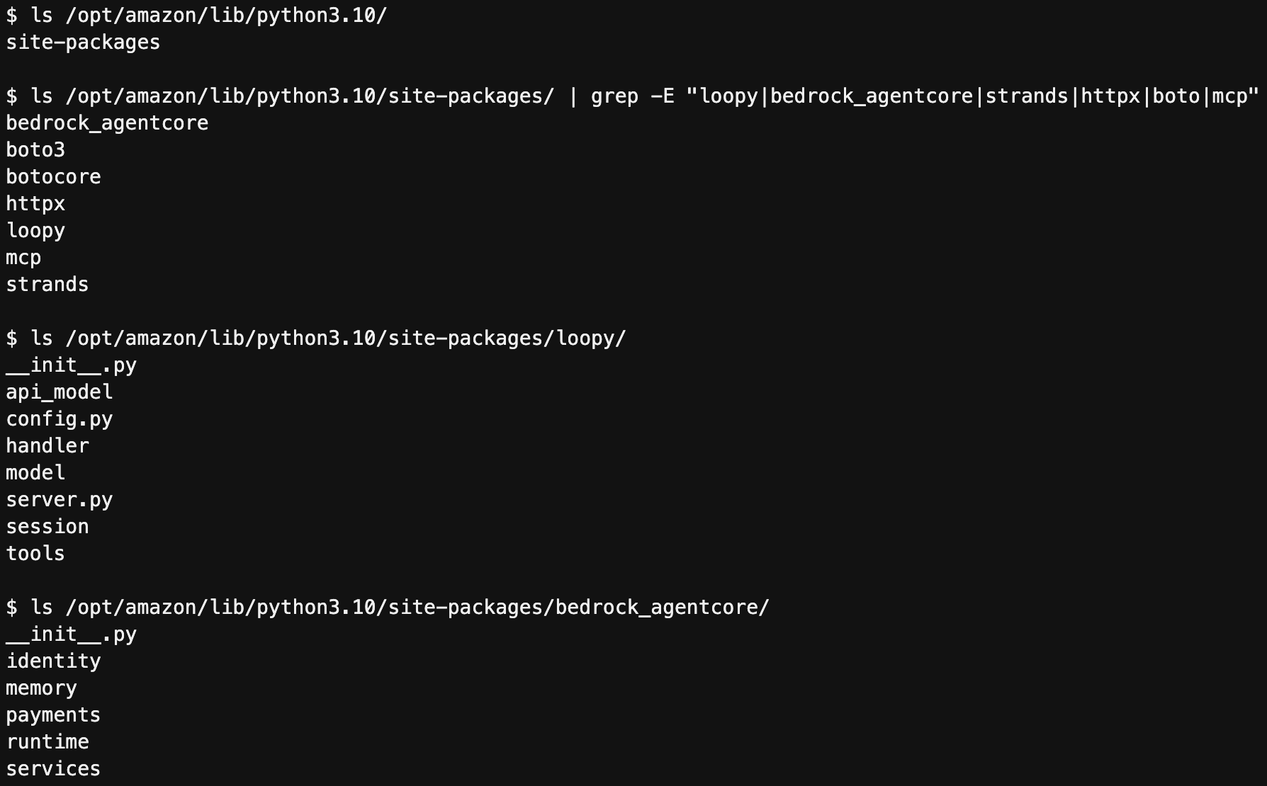 A screenshot of a terminal screen displays a series of directory listings. The commands list directories within the Python 3.10 site-packages folder, filtering for names. The listings show directory contents including files and other subdirectories such as "model" and "services.