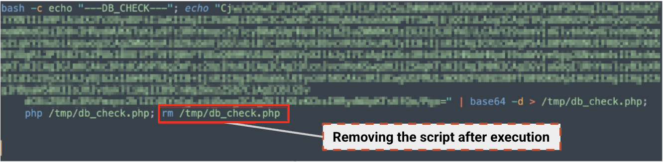 Screenshot of a code snippet showing a script execution related to database check using PHP. A red box highlights the file path with an annotation "Removing the script after execution."